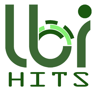 LBI Hits logo